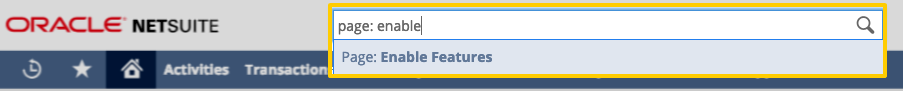 NetSuite global search field