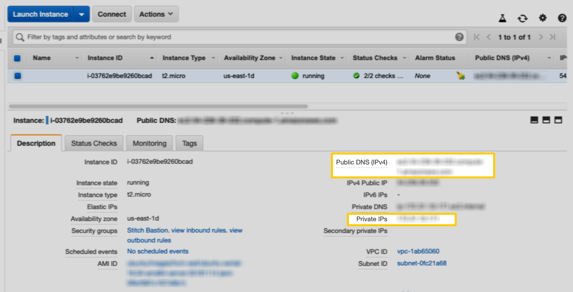 EC2 Description tab with highlighted Public DNS (IPv4) and Private IPs fields highlighted